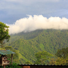 Load image into Gallery viewer, Colombia • Vista de Nieve
