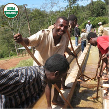 Load image into Gallery viewer, Ethiopia • Negele Gorbitu