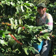 Load image into Gallery viewer, Colombia • Vista de Nieve