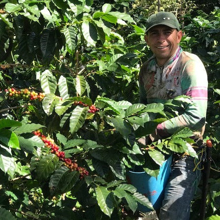 Colombia • Vista de Nieve – Columbia River Coffee Roaster