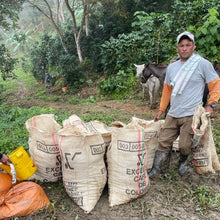 Load image into Gallery viewer, Colombia • Vista de Nieve