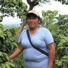 Load image into Gallery viewer, Guatemala • Ella