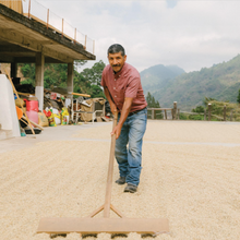 Load image into Gallery viewer, Guatemala • Small Lot Origin Subscription