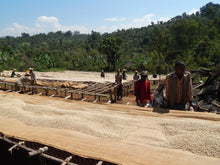 Load image into Gallery viewer, Ethiopia • Negele Gorbitu