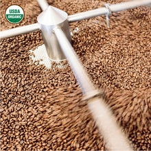 Load image into Gallery viewer, Mexico • MOCABE