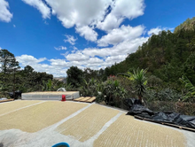 Load image into Gallery viewer, Guatemala • ASOPCE