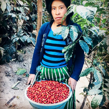 Load image into Gallery viewer, Guatemala • ASOPCE