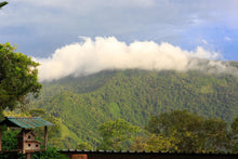 Load image into Gallery viewer, Colombia • Vista De Nieve • Dark