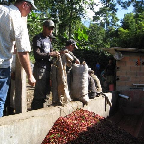 Colombia • La Sierra Red Honey