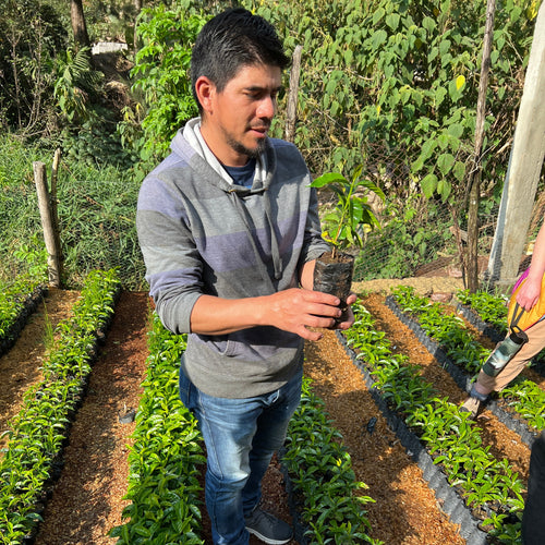 Guatemala • La Garita
