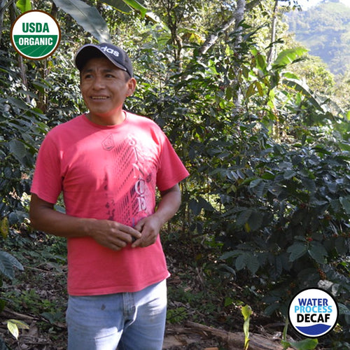 Decaf Organic