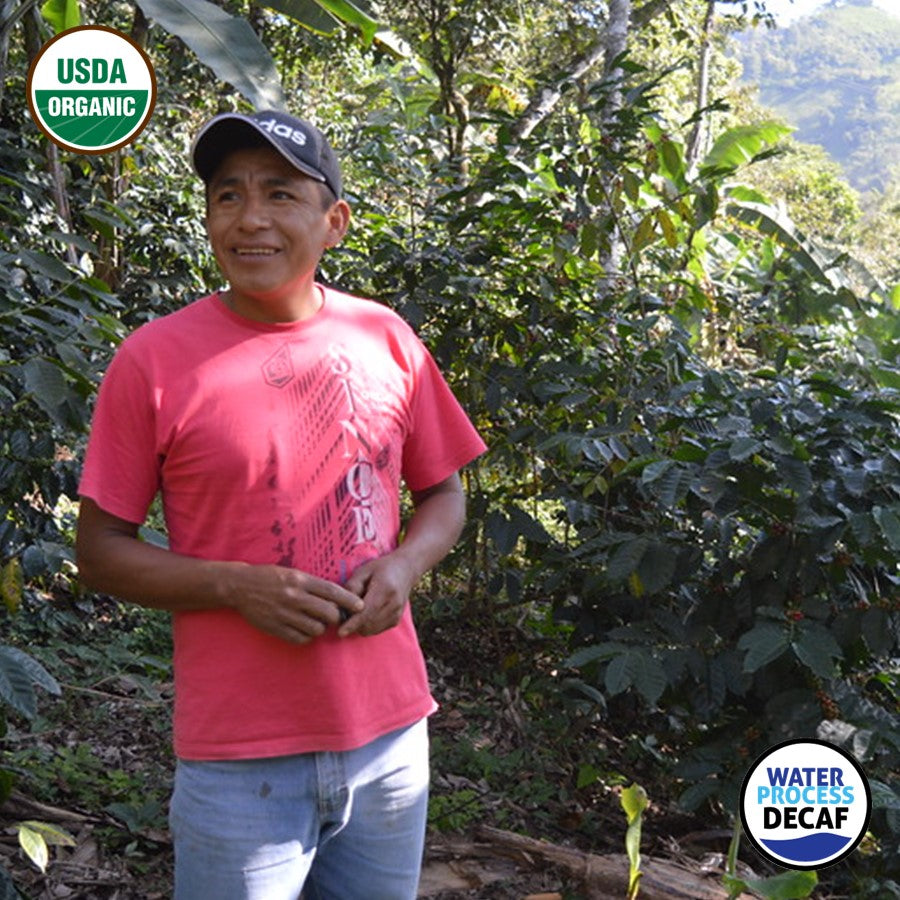 Decaf Organic