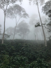 Load image into Gallery viewer, Colombia • Vista De Nieve • Dark