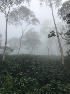 Colombia • Vista De Nieve • Dark
