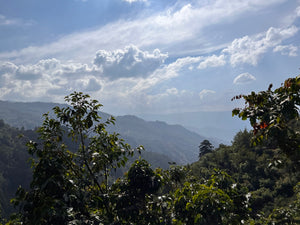 Guatemala • Guayabales