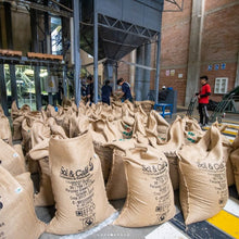 Load image into Gallery viewer, Decaf Organic