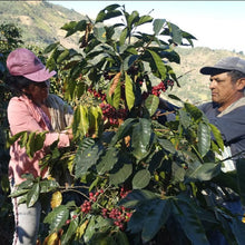 Load image into Gallery viewer, Decaf Organic