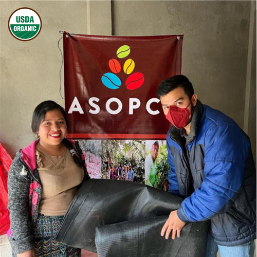 Guatemala Huehuetenango ASOPCE, Organic
