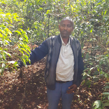 Load image into Gallery viewer, Ethiopia Homacho Waeno